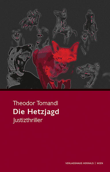 Die Hetzjagd Justizthriller | Theodor Tomandl