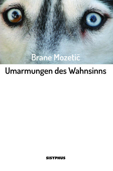 Ein in die Jahre gekommener Übersetzer mit einer Schwäche für labile Jünglinge nimmt sich von seiner jüngsten problematischen Bekanntschaft eine Auszeit. Er reist mit dem Zug in ein Land in Europa, wo sich in der Umgebung zahlreicher Wasserstraßen eine illustre Gesellschaft internationaler Übersetzer bei merkwürdigen Gastgebern ein Stelldichein gibt. Im abgelegenen Landhaus, das schon bessere Zeiten gesehen hat, findet er Gefallen an einem jungen Griechen, der sich über die eigene sexuelle Orientierung nicht ganz im Klaren ist. Nach einem Eklat sucht der Übersetzer zunächst Ablenkung in einem Sado-Maso-Klub, in dem die Körper junger Prostituierter aus Südosteuropa zu bewundern sind. In der Folge eskalieren die Ereignisse: Der junge Gespiele reist ab, und der Übersetzer tröstet sich bei einer als Flohmarkt getarnten nächtlichen Veranstaltung in einem Industriekomplex am Rand einer Großstadt, die sich sich als straff durchorganisierter Sklavenmarkt herausstellt - auf dem Flüchtlinge aus dem mittleren Osten, mit mehr oder weniger offensichtlichen Behinderungen angeboten werden. Als der Erzähler wieder in der Kolonie landet, haben ihn die Menschen vom Flohmarkt schon überholt. Die Übersetzer werden delogiert, denn die Flüchtlinge brauchen Platz. »Brane Mozeti? lässt einen beeindruckbar und verstörungswillig wie ein Teenager, nachdenklich wie ein Vierzigähriger, melancholisch und pragmatisch wie ein Sechzigjähriger zugleich sein.« Ann Cotten, kolik