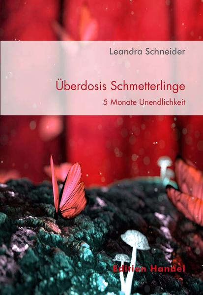 Leandra ist eine Frau Anfang 30, die in ihrem Leben schon viel erlebt hat und sich nach einer beständigen, aber dennoch spannenden Beziehung sehnt. Als sie durch ein Tinderdate auf den geheimnisvollen Dave trifft, ändert sich ihr geregeltes Leben schlagartig. Von nun an erlebt sie Spontanität, Leidenschaft und eine Nähe, von der sie es nie gewagt hat zu träumen. Mit Dave an ihrer Seite gleicht das Leben plötzlich einer gigantischen Achterbahn mit unbekanntem Ziel. Er ist der faszinierendste Mann, den sie je getroffen hat, doch in ihm schlummert ein Geheimnis, eine dunkle Seite, die im Stande ist, alles zu zerstören. Die sensible Leandra findet sich innerhalb kürzester Zeit in einer Welt wieder, die ihr bist dato gänzlich unbekannt war. Ein Spiel um Nähe und Distanz, unfassbare Leidenschaft und eiskalte Fassade, von himmelhochjauchzend bis zu Tode betrübt beginnt und Leandra muss sich entscheiden, ob sie sich für die Liebe opfert oder loslässt.