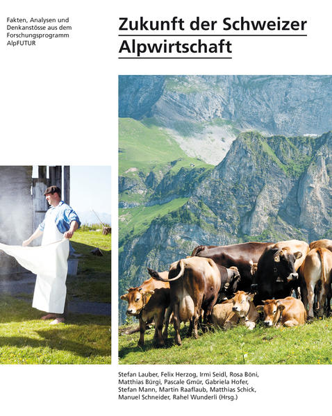Zukunft der Schweizer Alpwirtschaft | Bundesamt für magische Wesen