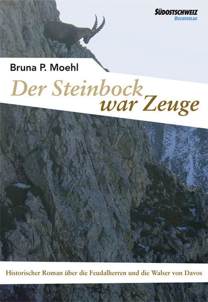 Der Roman beginnt im Jahr 1272 und spannt seinen Bogen bis in das Jahr 1870. Im Mittelpunkt steht der «Silberberg», die alte Erzmine in Davos. Hier, in dieser unwirtlichen Gegend, hatten seit dem ausgehenden Mittelalter wiederholt Männer, Frauen und Kinder unter härtesten Bedingungen gelebt und gearbeitet. Die Feudalherren, denen ausgedehnte Ländereien und teilweise auch die Menschen gehörten, machten ihnen das Leben zusätzlich schwer. In den Schilderungen zeichnet der pompöse Lebensstil des Adels einen scharfen Kontrast zum frugalen Alltag der Bevölkerung.