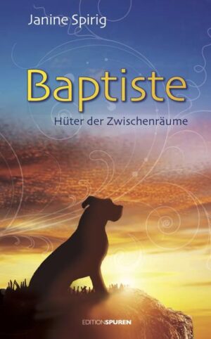 Wenn seine Begleiterin einen Klienten zur Therapie empfängt, ist Baptiste bereit und steht dem Behandelten zur Seite. Stumm, geduldig und mit viel Intuition. Die Familie, in der er lebt, begleitet er als heimlicher Mittelpunkt, auf den sich Kinder wie Erwachsene beziehen. Doch Baptiste kann auch einfach Hund sein, er kann tollen, bellen und ungestüm hinter anderen herjagen. Wenn da bloss nicht jener Stromstoss wäre, der ihn bei einem Spaziergang wie ein Blitz durchfuhr. Jetzt braucht der Therapiehund selber Hilfe. Und die bekommt er von denen, die dank ihm gelernt haben, wie wichtig im Leben die Zwischenräume sind.