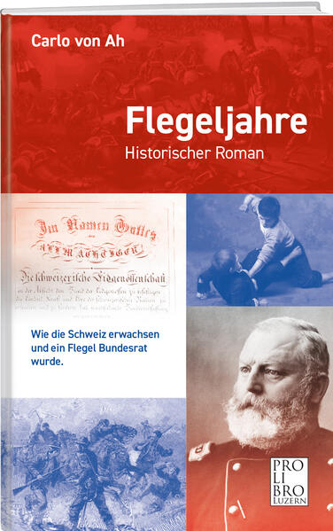 Das Buch handelt von der unglaublichen Lebensgeschichte des Emil Frey, der als Junge eines Magistraten ein Flegel war, in Jena als Student scheiterte, nach den USA auswanderte, dort am Bürgerkrieg teilnahm, nach schrecklicher Gefangenschaft in die Schweiz zurückkehrte, in die Politik einstieg und schliesslich als Bundesrat gewählt wurde. Diese Vita wird in das damalige turbulente Umfeld des 19. Jahrhunderts hineingestellt, wobei viele Episoden die Sicht der einfachen Bevölkerung aufzeigen sollen.