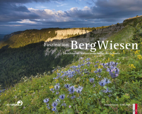 Roland Gerth hat den Blick für die Schönheiten des Alltäglichen. Nach den Bergwassern und Bergwäldern hat sich der renommierte Fotograf den Bergwiesen zugewandt, faszinierenden Lebensräumen für Pflanzen und Tiere. Zu allen Jahreszeiten ist er durch die Schweiz gestreift, hat dabei überraschende Bilder eingefangen. Zum Beispiel am Chasseral im Jura ein Meer von Krokussen, bei Ardez im Engadin die Schönheit einer Bergwiese im Sommer, Edelweiss auf dem Segnesboden in der Surselva oder das Warten der Natur auf den Frühling im Lauterbrunnental. Es sind Aufnahmen, die uns für einen Mikrokosmos begeistern, belebt von schützenswerten Blumen, Gräsern, Käfern und Insekten, zum Teil aber auch von alters her genutzt von den Bewohnern der Berge.