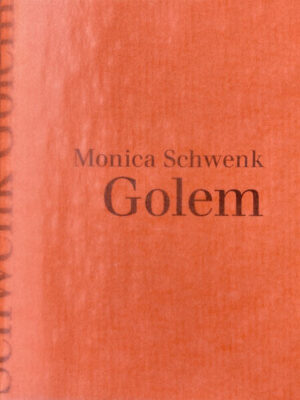 Dieses Textmodul, wie Monica Schwenk den vorliegenden Kurzroman bezeichnet, porträtiert Irene Troggenmoos, eine Figur, die schon im Roman »Gogi. Drei Zeugnisse der Mühen im Leben von Korrektor Schaffner« (pudelundpinscher, 2015) einen Auftritt hatte. Irene, das älteste von drei Geschwistern, geht in die Schule, passt sich an, studiert, passt sich an, jobbt, passt sich an - und eckt trotzdem regelmässig an, anders als ihr hochbegabter Bruder, anders als ihre rundum wohlgeratene Schwester. Das weckt Neid in ihr, erzeugt das Gefühl, benachteiligt, vom Schicksal vernachlässigt zu sein. Ihren Gogi, ihre Jugendliebe, kann sie nicht vergessen, aber nie antwortet er auf ihre Briefe. Und wie im Roman »Gogi« herrscht auch in »Golem« eine düstere Stimmung, die von einer nur leicht dystopisch anmutenden Überwachungs- und Bewertungsapp zusätzlich verfinstert wird.