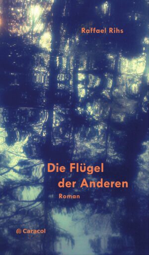 Raffael Rihs schildert berührend das Leben und die Entwicklung des jungen Antihelden Serafin Meier. Der verschlossene Einzelgänger weiss nicht recht, was er mit seinem Leben anfangen soll. Er möchte Blogger sein, aber ihm fehlt ein eigenes, spezielles Thema. Seine Ausbildung an der Journalistenschule - und parallel dazu bei einer Lokalzeitung - begeistert ihn nicht. In den Mittagspausen spaziert Serafin durch die Altstadt und macht jedes Mal in der Buchhandlung halt, wo er die Mitarbeiterin Cleo kennenlernt. Die aufgeweckte junge Frau fasziniert ihn. Mitten im Semester der Jounalistenschule stösst zudem Ronnie, passionierter Kletterer und Wintersportler, zur Klasse. Er platziert sich an Serafins Tisch und in seinem Leben. Fortan wird Serafin sowohl von der hübschen jungen Buchhändlerin als auch vom redseligen Schulkameraden in verschiedener Weise aus der Reserve gelockt, aus seiner Komfortzone, zu der das Schweigen und seine kleine Wohnung gehören. Zwölf kürzere «Logbuch»-Einträge berichten zeitversetzt von Serafins Aufenthalt im Tessin. Auf den «Flügeln der Anderen» findet er zur Natur - und zu sich selbst. Raffael Rihs beleuchtet in mehreren Handlungssträngen das Leben eines Millenials in der Krise. Der Diskurs über Digitalisierung und digital detox ist aktuell. Der Autor spürt in seiner Geschichte unter anderem der Frage nach, wie ein gesunder Umgang mit permanenter Präsenz, Smartphone und Social Media aussehen könnte. Rihs’ Protagonist durchlebt einen Wandel, sein Leben verändert sich beruflich wie privat in kurzer Zeit radikal. Trotz der ernsten Thematik ist der Text gespickt mit humorvollen Dialogen und Situationskomik, präsentiert in einer lebensnahen, authentischen Sprache.