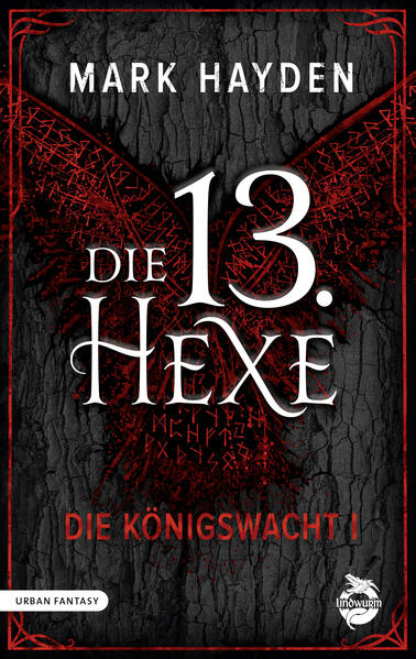 Conrad Clarke, ehemaliger Kampfjet-Pilot und vermeintlicher Verbrecher, erhält erst eine SMS und dann Besuch von keinem Geringeren als Odin. Der möchte, dass Conrad eine vermisste Hexe für ihn findet. Kein Problem, oder? Bevor Conrad "Ragnarök" sagen kann, taucht er in eine Welt voller Götter, Magier, Hexen, Zwerge und einem sehr aggressiven Riesenmaulwurf ein. Seine einzigen Waffen: sein schräger Humor und seine unkonventionellen Methoden.