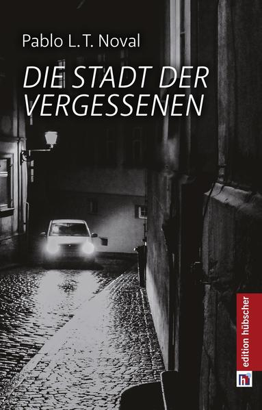 Der junge Hamburger Germanistikstudent Max Dresslen kommt nach Bamberg, um hier seine Magisterarbeit zu schreiben. Statt seines steht auf dem Klingelschild der neuen Wohnung in der Concordiastraße der Name E. Railey. Kurz darauf erfährt Max, dass jener Vormieter unter mysteriösen Umständen ums Leben kam. Er lernt Elizabeth kennen, die schöne Kellnerin im Fässla. Bald wird klar, dass sie die Tochter eben jenes E.Railey ist, den sie als Kind so wenig kennenlernte wie Max seinen eigenen Vater. Das winterliche Bamberg wird zur Kulisse für die gemeinsame Suche nach dem Mörder, gleichzeitig eine Suche nach beider familiärer Vergangenheit. Die Väter kannten einander und eine merkwürdige Geschichte verbindet sie. Warum lebten sie fern der Familien und ohne Kontakt zu diesen? Was verbindet sie mit Bamberg und Einwohnern der Stadt und der JVA in der Sandstraße? Ist der geheimnisvolle Einäugige Freund oder Feind? Was hat es auf sich mit einer seltsamen Erzählung, die als Prophezeiung der Wirklichkeit voranzugehen scheint   Ein spannender Roman mit fantastischen Elementen, der Einsamkeit sowie die Bedeutung der Kenntnis eigener Herkunft veranschaulicht und Liebe wie Literatur als Lebenselixier feiert.