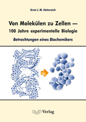 Von Molekülen zu Zellen  100 Jahre experimentelle Biologie | Bundesamt für magische Wesen