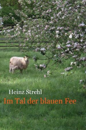 In das Tal der blauen Fee laden Herr Plato, die weise Eule, Herr Motzke, der alte Ziegenbock, und Boopie, das Schwein, junge Leserinnen und Leser ein. Immer dabei: die gute Fee und Familie Hagedorn. Im Tal erwarten die Leserinnen spannende Abenteuer. Die Geschichten, die Heinz Strehl erzählt, folgen dem Motto: Freunde helfen einander. Das macht sie stark.