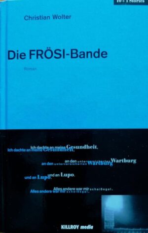 Nächtliche Anschläge auf die neuen Säulen der Gesellschaft (Autohaus, Bank, Gericht) unter der Federführung des dubiosen Sid Mayer bringen Henry und seinen Cousin Stoppel in Opposition zu Recht und Ordnung, verkörpert in Henrys Stiefvater Polizeiobermeister Haschke. Als Diener vieler Herrn und Herrinnen behauptet sich Henry in leid- und lustvollen Episoden und entpuppt sich dabei als Schelm in klassischer Tradition. Der Bogen spannt sich von erschlichener Westschokolade aus DDR-Kindheitstagen bis zur Wende-Gegenwart, wo ihm auf wunderbare Weise eine Tafel aus purem Gold zufällt. Dazwischen liegen eine Fülle erotischer Erlebnisse, heftiger Drogenkonsum, die Abrechnung mit der Kindheit und erfolgreiche Umgehung von geregelter Arbeit.