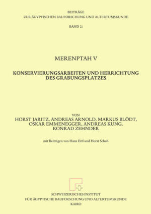 Merenptah V: Konservierungsarbeiten und Herrichtung des Grabungsplatzes | Horst Jaritz