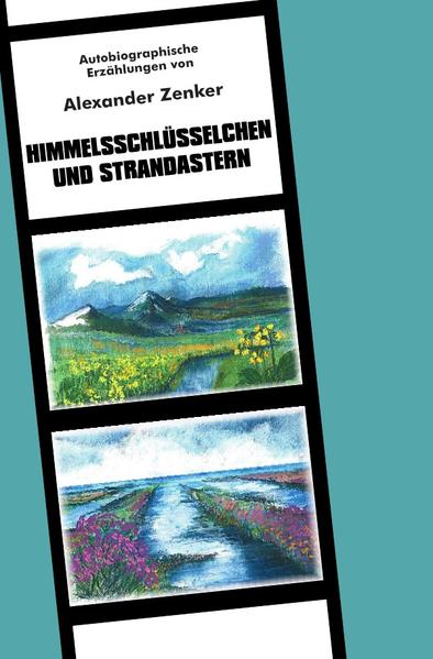 Mit seinen Erinnerungen aus der Kindheit und Jugend legt der Verfasser nicht nur eine Beschreibung des eigenen Werdegangs und eines Teils seiner Familiengeschichte vor, deren Adressaten in erster Linie seine Kinder, Neffen und Nichten sind. Hier ist darüber hinaus ein beachtlicher Abriss einer Zeit entstanden, bei dessen Lektüre sich vor allem Menschen der älteren Generation, die ähnliche Vertriebenenschicksale erlitten haben, wiederfinden. Dem Autor gelingt es in beeindruckender Weise, Geschehnisse und Abhandlungen ohne Hass und Verbitterung zu schildern. Gepaart mit der außergewöhnlichen Ausdruckskraft, die diesem Werk innewohnt, führt dies zu großer Authentizität und Glaubwürdigkeit dieser Erzählung.