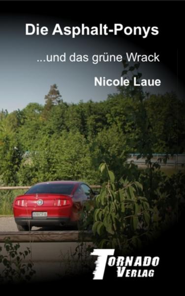 Die Asphalt-Ponys .und das grüne Wrack Hubraumstarke Pony-Cars, gute Freunde und viel Spass, das ist der Stoff, aus dem die Träume der Mitglieder des Stammtisches “Asphalt-Ponys” gemacht sind. Durch Zufall entdecken sie auf einem Parkplatz Dinge, die sie nicht erwartet haben. Mit viel Humor gehen sie der Sache auf den Grund und erleben ein Abenteuer, bei dem sie Mut beweisen müssen.