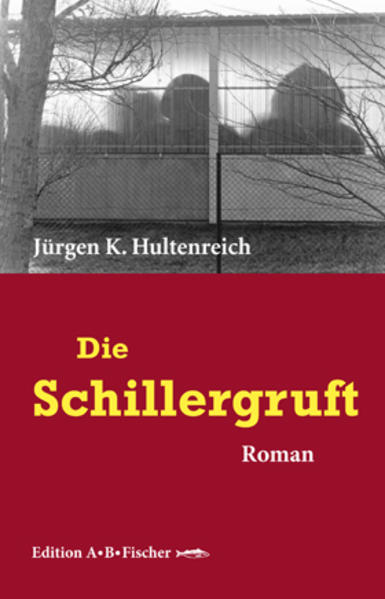 Als der junge Georg Hull Mitte der 60er Jahre in der DDR wegen eines gescheiterten Fluchtversuchs verhaftet wird, ahnt er noch nicht, welcher leidvolle, manchmal absurde Weg durch die Mühlen der Justiz und Psychatrie ihm bevorsteht. Weil er sich vor Gericht mit Schillerzitaten verteidigt und überdies erklärt, er läse nur Schiller, findet er sich bald schon „zur Beobachtung“ unter Geisteskranken oder sonst irgendwie Auffälligen wieder. In der Tat kennt er viele Gedichte Schillers, die ihm Halt geben in dieser „Gruft“, ­auswendig. Immer wieder muss er sie seinen Vernehmern perfekt rezitieren??-??und manchmal bringen Sie ihm auch finanzielle Sonderleistungen ein. Dort, in tiefster Bedrängnis, findet Georg Hull sogar seine verloren geglaubte Jugendliebe wieder. Trotz einer gespenstischen Geisterfahrt durch die Welt von Medikamentenzwang und Elektroschocks besteht er diesen Irrwitz mit Ironie und Haltung. Nicht ich bin krank, das Land ist es (Georg Hull)