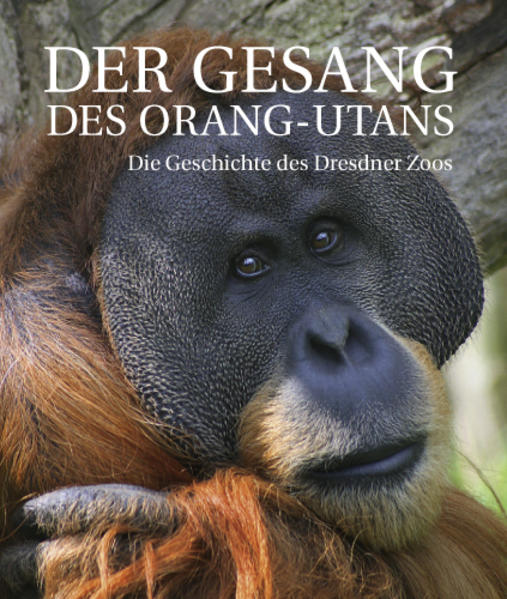 Der Gesang des Orang-Utans | Bundesamt für magische Wesen