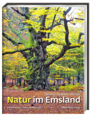 Sanft lächelt die Morgensonne über dem Moor, ein Rehbock schaut aus dem Kornfeld, Blumen wiegen sich im Wind – das Emsland ist nicht spektakulär: es sind die stillen Momente, die Zwischentöne, die Weltfernheit, die es so einzigartig und lebenswert machen. Die Hektik des 21. Jahrhunderts scheint im Land zwischen Ostfriesland und Münsterland vollkommen unbekannt zu sein, Ruhe und Harmonie warten zwischen Wiesen und Wäldern. „Einst war das Emsland so arm, dass selbst die Kaninchen in die Knie gingen, um zu fressen.“ Dieses geflügelte Wort beschreibt, was bis vor gut 60 Jahren den heute zweitgrößten Landkreis der Bundesrepublik prägte: Ein karges Leben zwischen Moor und Heide, am Wasser und sprichwörtlich auf Sand. Wer das moderne Emsland nicht selbst gesehen hat, könnte denken, es sei noch immer so. Aber das Gegenteil ist der Fall: der einst von der Welt vergessene Landstrich präsentiert sich heute als moderner Wirtschaftsraum – der gleichzeitig der Natur ihren Platz bewahrt und neuen Raum für Biber, Nerz und Kranich geschaffen hat. Zwischen Ostfriesland und Münsterland leben so viele ­Säuge­tierarten wie in kaum einem anderen Landkreis der Republik, dazu locken wiedervernässte Moore, Hudewälder und natürlich die Ems, der kleinste Strom Deutschlands.