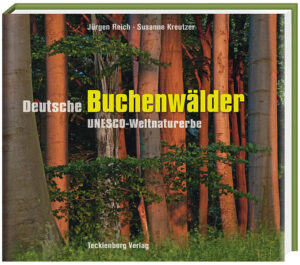 Ohne menschlichen Einfluss wären heute noch weite Teile Europas nahezu komplett mit Fagus sylvatica, der Rotbuche, bedeckt. Auch in Deutschland sind die wilden Urwälder im Laufe der Geschichte durch die ­­Zivilisation derart überformt und vernichtet worden, dass die UNESCO am 25. Juni 2011 die wertvollsten Relikte großflächiger, weitgehend unversehrter Buchenwälder zum Weltnaturerbe erklärt hat. Mit diesem Titel stehen die Gebiete nun unter besonderem Schutz und außerdem auf einer Stufe mit Naturwundern wie dem Machu Picchu, den Everglades oder dem Grand Canyon. Zu den „Alten Buchenwäldern Deutschlands“ zählen neben den naturbelassenen Waldgebieten der Nationalparke Hainich (Thüringen), Jasmund und Müritz (Mecklenburg-Vorpommern) und Kellerwald-Edersee (Hessen) auch die des Biosphärenreservats Schorfheide-Chorin (Brandenburg). Jedes dieser fünf Gebiete weist spezifische und einzigartige Ausprägungen und stand­örtliche Besonderheiten auf. Mit stimmungsvollen, ausdrucksstarken Fotos sowie bildhaften, einfühlsamen Texten führen uns der Naturfotograf Jürgen Reich und die Textautorin Susanne Kreutzer in die märchenhaft anmutende Welt der „Urwälder von morgen“, einer Welt, die jeder selbst entdecken und erleben kann.