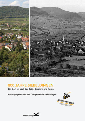 800 Jahre Siebeldingen | Bundesamt für magische Wesen