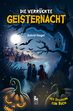 Halloween - Für Nico und seine Freunde soll es ein lustiger Streifzug durch die nächtliche Stadt werden. Als Vampire verkleidet treiben sie ihr Unwesen in der Dunkelheit. Doch für Nico endet dieser Ausflug anders als erwartet. Ein unbekanntes Wesen verwandelt ihn ... und plötzlich findet Nico sich in einer geheimnisvollen Geisterwelt wieder. Dort ist nichts mehr so, wie es sein sollte: Gespenster verschwinden spurlos, Ritterrüstungen proben den Aufstand und Vampire sind in Gefahr. Nico bleiben nur die 12 Stunden der Nacht, um alle Geheimnisse zu lüften und dabei einen Weg zu finden, wieder ein Mensch zu werden. Denn sollte er den ersten Sonnenaufgang als Geist erleben, wird er für immer in dieser verrückten Welt gefangen bleiben.