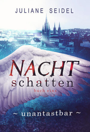 Menschen, Vampire und Werwesen haben etwas gemeinsam: Sie alle besitzen einen Schutzengel. Lily - eine der wenigen Auserwählten, die den ihren sehen kann - wird zu einer Jägerin ausgebildet, um gewöhnliche Menschen vor übernatürlichen Wesen zu schützen. Als sie sich in Silas verliebt, der Mitglied einer geheimnisvollen Magiergilde ist, hat plötzlich jeder Geheimnisse vor ihr: Der hohe Rat, ihre Lehrmeisterin, Silas, sogar ihr eigener Schutzengel Adrian. Die seltsamen Vorfälle, die sich um sie herum ereignen, lassen sie und Silas schließlich auf ein Komplott aus Intrigen stoßen, das seinen Ursprung in Lilys Vergangenheit hat.