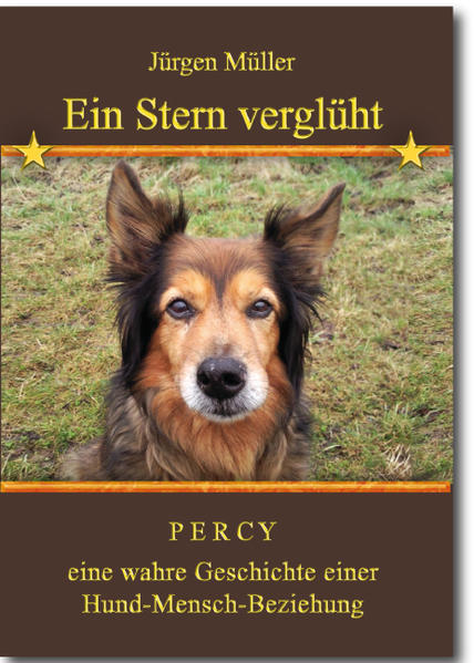 Geschichten, die die Menschen in besonderer Weise berühren, sind in der Mehrzahl Hundegeschichten. Möglicherweise bedeutet dies, dass Werte wie Verantwortungsbewusstsein, Loyalität, Nächstenliebe, Menschlichkeit, Mut und Mitleid nur noch im Verhältnis zum Sozialpartner Hund Geltung hat? Fest steht, dass in unserer heutigen Gesellschaft das Wort Menschlichkeit seinesgleichen gegenüber seine ursprüngliche Bedeutung verloren hat. Der Sozialpartner Hund, der die gleichen menschlichen Merkmale wie 'Emotionen, Intelligenz, Wünsche, Bewusstsein und Ziele' aufweist, ist, außer, dass er nicht sprechen kann, zu einem 'Mensch-Ersatz' geworden. Dies mag daran liegen, dass Hunde bedingungslose Liebe und Vertrauen schenken, was bei den Menschen in ihrer Unbeständigkeit nicht der Fall ist.