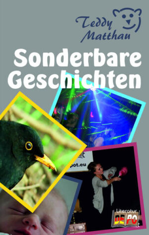 Atemlose Spannung, knisternde Erotik und erschreckende Brutalität hätten auch dieses inzwischen 7. Buch von Teddy Matthau zu einem abscheulichen Machwerk miesester Schundliteratur machen und damit in die Bestsellerlisten bringen können. Möglicherweise wurde dies nur durch den beeindruckend intelligenten Höhepunkt auf Seite 185 verhindert. Urteilen Sie selbst! Ein Werk, das seinen aufmerksamen Lesern ein hohes Maß von Gleichgültigkeit abverlangt.