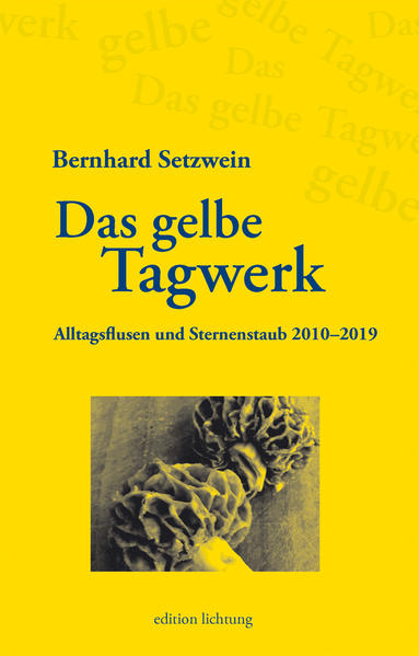 Im Kopf des Autors Bernhard Setzwein kehrt selten Ruhe ein. Hat er sein Schreibpensum vollbracht, stellen sich an manchen Tagen noch weitere kleinere Notizen ein, die er zehn Jahre lang für „Das gelbe Tagwerk“ gesammelt hat. Herausgekommen ist eine funkelnde, abwechslungsreiche Sammlung besonderer Momente, die es Bernhard Setzwein wert waren, schriftlich festgehalten zu werden. Das kann ein kurzer Gedankenblitz sein, eine schöne Sentenz, ein Wortspiel, manchmal auch Träume. Andere Texte sind Beobachtungen skurriler Alltagsszenen, zufällige Begegnungen, Gemütsregungen, Kommentare zur Tagespolitik oder Zitate aus Büchern. Ausführlich beschreibt Setzwein Begegnungen mit anderen Autoren, etwa mit Eugen Gomringer, Gerhard Roth oder Kate?ina Tu?ková. Bedauerlicherweise war auch der ein oder andere Nachruf zu schreiben, besonders bewegend der auf den tschechischen Lyriker Josef Hrubý. Im Buch lassen sich aber auch die Entstehungsgeschichten und Hintergründe zu einigen Werken von Bernhard Setzwein mitverfolgen, zum Beispiel zum Theaterstück „Resl unser“ oder zum Roman „Der böhmische Samurai“. Neben Ausflügen und Wanderungen - mitsamt einem dramatischen Unfall im Altvatergebirge - nehmen seine Stipendien-Aufenthalte in Horní Planá/Oberplan und Brno/Brünn eine wichtige Rolle im „Gelben Tagwerk“ ein. Wie schon der Vorgängerband „Das blaue Tagwerk“ (1997-2009) vermittelt dieses Buch Einblicke in die Gedankenwelt eines Schriftstellers. Bernhard Setzwein notiert die Tagwerk-Einträge in seinem unverwechselbaren, gewohnt geistreichen Stil, der die Tagebuchaufzeichnungen zu einem Genuss für den Leser macht.