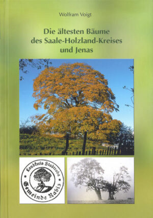 Die ältesten Bäume des Saale-Holzland-Kreises und Jenas | Bundesamt für magische Wesen