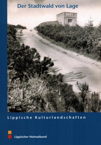 Der Stadtwald von Lage | Bundesamt für magische Wesen