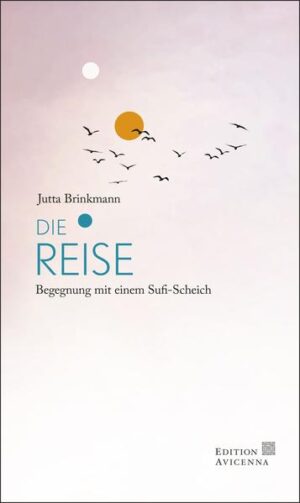 Der Mensch ist auf der Suche. Nach Licht, Wahrheit, Liebe. Vierzig Deutsche begeben sich auf die Reise in den Sudan, zu einer weitgehend unbekannten Quelle der Spiritualität. Die Begegnung mit dem Sufi-Scheich Mohammed Osman Abduh al Burhani wird für viele von ihnen zum Wendepunkt in ihrem Leben