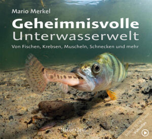 Über 12.000 Naturseen glazialen Ursprungs, zahlreiche Flüsse und Kanäle, geflutete Tagebaurestlöcher und Steinbrüche, Baggerseen und Stauseen bilden die Wasserlandschaft Deutschlands. Sie ist vielfältig und nimmt mehr als zwei Prozent der deutschen Landschaftsfläche ein. Entsprechend ihrer geologischen Lage vom norddeutschen Tiefland bis zu den Alpen und dem Alpenvorland im Süden unterliegen die Gewässer unterschiedlichen klimatischen, geologischen und naturräumlichen Einflüssen, die vielfältige Lebensräume erschaffen. Mit diesem Bildband möchte Sie der Autor einladen, ihn auf eine Tauchreise in die heimische Unterwasserwelt zu begleiten. Dort treffen Sie auf Vertreter von Fischen, Krebsen, Muscheln, Schnecken, anderen Wirbellosen und Unterwasserpflanzen. Das Buch enthält 16 QR-Codes, die das Lesevergnügen visuell erlebbar machen.