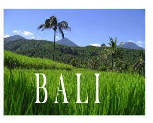 Bali - „Insel der Götter“ und „Insel der 1000 Tempel“. Die Insel legt Zeugnis ab von der kulturellen und landschaftlichen Vielfalt Indonesiens. Unzählige Tempel und Ehrfurcht einflößende Vulkane erwarten die Besucher Balis auf ihrer Entdeckungsreise. In diesem Bildband soll die Insel in unzähligen Bildern vorgestellt werden, wobei auch Informationen zu Geschichte und Gegenwart nicht zu kurz kommen.