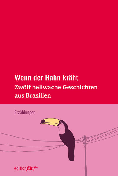 Brasiliens Autorinnen melden sich zu Wort: In zwölf hellwachen Geschichten erzählen ihre Stimmen von Liebe und Verstrickungen, Tradition und Moderne, Macht und Unterdrückung, Geld und Armut, Glaube und Hoffnung in einer Gesellschaft im Aufbruch: Eine Frau frisiert ihre Lebensgeschichte, um sich für eine Fernsehshow interessant zu machen, eine andere exhibitioniert sich mitten auf der Autobahn. Eine alte Frau bereitet sich stolz auf ihren Tod vor und begleicht offene Rechnungen mit den Menschen ihrer Umgebung, eine einstige Guerillakämpferin beerdigt einen Kampfgenossen. Ein jüdisches Mädchen wird durch ihre Träume zur leidenschaftlichen Köchin, eine Schülerin verschreckt den Anbeter des Hausmädchens, und im Krankenhaus entdeckt eine Bibliothekarin ihre Sympathie für Frauen aus einfachen Schichten. All das und vieles mehr umfasst diese junge und selbstbewusste Geschichtensammlung mit gnadenlos scharfem Blick auf ein Land der Gegensätze, bei allen Härten. Ein Buch voller Überraschungen, Witz und Humor, eigens zusammengestellt für die edition fünf!