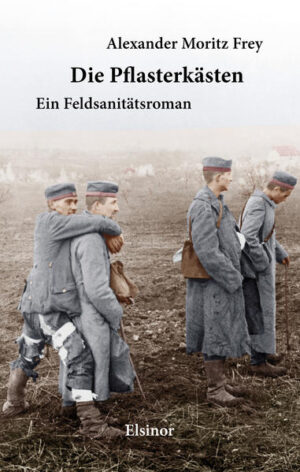 In seinem autobiographisch geprägten “Feldsanitätsroman” Die Pflasterkästen entwirft Frey ein ungeschöntes Bild des Ersten Weltkriegs. Gespiegelt und verdichtet wird das Erlebte in der Geschichte vom Schriftsteller Funk, der als Sanitäter an die Westfront kommandiert wird und die Wahrheit nüchtern notiert: den Alltag des einfachen Soldaten, Schikanen, Zynismus und Bosheit, auf groteske Weise unfähige Vorgesetzte und die Allgegenwart des Sterbens. Die Nationalsozialisten ertrugen den vielbeachteten Roman nicht