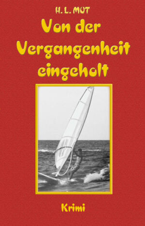 Dieses Buch ist die Fortsetzung meiner Geschichte mit dem Titel ›Kleine Gauner und große Ganoven‹. Nessi, nun gerade volljährig geworden, erkennt schnell, dass dies aber nicht der richtige Weg ist, um im Leben weiterzukommen und trennt sich von Timo. Der aber macht weiter und ergaunert eine CDROM, auf der massenhaft Daten von Schwarzgeldkonten gespeichert sind. Er sucht den Kontakt mit dem deutschen Fiskus und schickt Kopien dieser brisanten CD an die Finanzdirektion mit der Auflage, dass er 1 % der eingetriebenen Steuern für sich bekommen sollte, als Erfolgsprämie sozusagen. Er richtet sich ein Nummernkonto bei einer Bank in der Schweiz ein. Dieses aber nicht unter seinem wirklichen Namen, sondern unter dem Alias Gordon Kröger. Über dieses Konto wird das ›Geschäft‹ abgewickelt. Timo spielt jetzt in einer ›anderen Liga‹ und nimmt in kurzer Zeit mehr als acht Millionen EUR ein. Er träumt vom ›süßen Leben‹ mit Traumautos, Bungalow am Strand von Ibiza und Segelyachten. Jedoch hat er nicht mit dem Spürsinn der Unterwelt gerechnet.