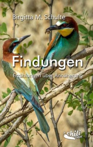 Birgitta M. Schultes vielschichtige Erzählungen aus über 15 Jahren entführen uns in unterschiedlichste Länder und Welten. In Momenten spannungsreicher Begegnungen und erotischer Beziehungen jenseits des Älltäglichen offenbart die vielgereiste Autorin eine zutiefst menschliche Suche nach dem ganz großen Glück.