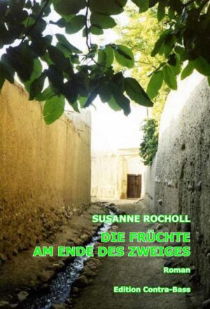 Susanne Rocholls Roman erzählt von der jungen Iranerin Nasrin, die kurz nach der Islamischen Revolution 1979 ihre Heimay verlässt, um in Deutschland Karriere zu machen. Nasrins Wunsch, sich in einer freien Gesellschaft zu beweisen, scheint zunächst zu gelingen. Sie überredet ihre Schwester Latife, ihr nach Deutschland zu folgen. Nasrion emanzipiert sich, indem sie in die Welt des Budisess eintaucht, ihre Schwester hingegen hängt an den Traditionen des ländlichen Lebens ihres Landes. Nasrin verfolgt ihren Weg, ohne zu merken, dass sie den Blick verliert für diejenigen, die sie lieben. Es ist eine spannende Geschichte zwischen dem traditionellen Iran und dem Sog der westlichen Konsumgesellschaft, aber auch zwischen der entfremdeten Welt der Erwachsenen und der Welt der heranwachsenden Kinder. Mit ihren Konflikten allein gelassengeraten sie in Gefahr.