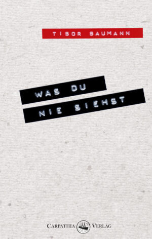 Will man ein ganzes Leben erzählen, findet es manchmal in einer Woche statt. Und am Ende der Woche wird Hansi den Mann kennenlernen, der ein Buch über ihn schreiben wird. Aber das weiß er noch nicht. Johann »Hansi« Mühlbauer führt ein ereignisreiches Leben zwischen Rockband und Reisen, zwischen Surferfreiheit, Wildnispädagogik und seiner Arbeit als Physiotherapeut - und ist seit seinem zweiten Lebensjahr blind. Die Woche beginnt für ihn mit einem herben Verlust. Nach einem durchzechten Wochenende auf dem von ihm veranstalteten Rock-Benefiz ist sein Handy verschwunden - mit der Nummer von Alexa. Auf der Suche nach dem Handy durchlebt Hansi seine Woche und wird mehr und mehr mit sich selbst und seinem bisherigen Leben konfrontiert. Wohin soll die Reise gehen? Und wer ist der seltsame Verfolger, der scheinbar etwas mit Hansis verschwundenem Handy zu tun hat? Irgendwo in diesem Strudel gilt es, etwas über sich herauszufinden, einen Platz für sich zu erobern. Und eine neue Perspektive zu erlangen. Eine Woche, die sich trotzdem über Monate hinweg erstreckt - eine Liebesgeschichte ohne Kuss, eine Geschichte über ungewöhnliche Verluste, gewöhnliche Abenteuer und einen blinden Mann, der die Herausforderung seines Lebens annimmt. Baumanns biografischer Roman folgt nicht den ausgetretenen Pfaden der Literatur über behinderte Menschen. Was du nie siehst erzählt von den Zusammenhängen, die zwischen Menschen entstehen - und dem Umgang der Einen mit den scheinbar Anderen. Mit seinem Roman sprengt Baumann gleichzeitig die Grenzen zwischen Fiktion und Biografie - und macht den Schreibprozess selbst zum Thema.