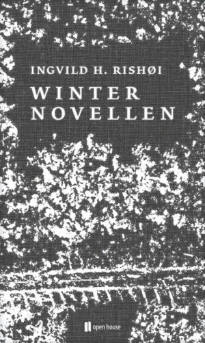 In drei Novellen beleuchtet Ingvild H. Rishøi die Gefühle von Menschen, die ihren Weg in einer Welt von Armut, Unsicherheit und Einsamkeit suchen. Moderne Märchen für jede Jahreszeit. 1 - Wir können nicht allen helfen Die kleine Tochter bittet ihre Mutter, einem Bettler zu helfen. Aber die weiß nicht einmal, wie sie den Bus nach Hause oder Wäsche für ihr Kind bezahlen soll. Ein Strudel von Wahrheiten und Ängsten, während die Verantwortung für die eigene Tochter erdrückend zu werden scheint. 2 - Der richtige Thomas Thomas wird aus dem Gefängnis entlassen, am Abend soll sein Sohn zu Besuch kommen. Aber Thomas scheitert bereits daran, ein Kissen für ihn zu kaufen. Die Konfrontation mit den Erwartungen an sich selbst und den Vorurteilen der Außenwelt wird ihm fast zum Verhängnis. Und doch gibt es immer die Möglichkeit, sein Leben zu ändern ... 3 - Geschwister Drei Geschwister, siebzehn, sieben und vier, auf der Flucht, geraten in einer Schneelandschaft in eine immer aussichtslosere Situation. Geht es um eine Mädchenfreundschaft, die den Verlust der heilen Familie kompensiert und gleichzeitig motivierend und zerstörend wirkt? Um eine große Schwester, die nach dem Tod des Vaters die Familie zusammenhält? Oder ist vielmehr sie die Bedrohung für die Familie? Verschwimmende Grenzen in einer alles andere als (ge-fühls)kalten Winterwelt. Die Direktheit der Sprache Rishøis spiegelt die Verzweiflung und Unsicherheit der Figuren in einer rauen Umgebung, die aber immer auch einen Hoffnungsschimmer zulässt. Themen wie Existenzangst, Verantwortung und menschliche Ausnahmezustände werden in den drei Novellen so gekonnt miteinander verbunden, dass sie die Verletzlichkeit der Gegenwartsgesellschaft eindrücklich wie wenige Erzählungen erfassen.