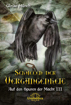 Während Lukas und Moppel noch darüber diskutieren, ob der Dämon nun endgültig besiegt sei und warum sich Muriel nicht meldet, wähnt sich der schaurige Rektor seinem Ziel immer näher. Zumindest bis er von dem mysteriösen Fremden erfährt, von dem Lukas’ Mutter sich verfolgt glaubt. Er bringt des Rektors Selbstsicherheit ins Wanken und Frau Kramer an ihre physischen Grenzen. Besorgt um seine Mutter, begibt sich Lukas selbst in Gefahr. Seine Freunde und Verbündeten versuchen alles, um ihn zu retten. Dabei finden sie überraschende neue Freunde, treffen auf bekannte Feinde und tauchen in so manche spannende, alte Geschichte ein. Das Abenteuer führt sie gleichermaßen in ihre eigenen inneren Welten, wie durch ganz reale Probleme, und eine geheimnisumwobene Steintafel sorgt zusätzlich für Verwirrung und Besorgnis, aber am Ende werden die Karten neu gemischt sein.