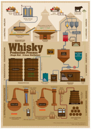 Die Whisky Production Process - Tasting Map zeigt eine schematische Darstellungen des Whisky Produktionsprozesses zur Herstellung von Single Malt Whisky (2-fach Destillation) und zur Herstellung von Grain Whisky (kontinuierliche Destillation).