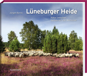 Es ist eines der schönsten Naturschauspiele in Norddeutschland: die Heideblüte in der Lüneburger Heide. Hunderttausende der leuchtend violetten Pflanzen verwandeln die sanfte Hügellandschaft ab August in ein Farbenmeer. Vereinzelt ragen helle Birken und dunkelgrüne Wacholder aus dem Blütenteppich auf. Zieht dann noch eine Herde Heid­schnucken samt Schäfer und Hirtenhund vorbei, ist das „Heideglück“ perfekt. Doch nicht nur im Spätsommer lockt die 5000 Jahre alte Kulturlandschaft Besucher von nah und fern zu einer Entdeckungstour. Egal ob zu Fuß, mit dem Rad, auf dem Pferd oder bei einer Kutschfahrt – die Lüneburger Heide ist ein beliebtes Urlaubsziel, das zu jeder Jahreszeit spannende Naturerlebnisse bietet. Der Fotograf Jürgen Borris hat die vielfältigen Lebens­räume der Heide, ihre Flora und Fauna, aber auch die Heidjer, die Menschen in der Region, in stimmungsvollen Bildern festgehalten. Entstanden ist das Porträt einer der wohl charakteristischsten Landschaften Deutschlands – zwischen Heidekraut und Wacholder.