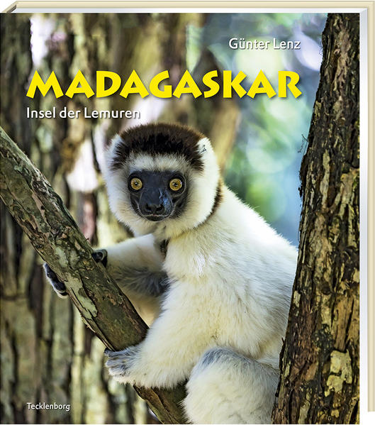 Madagaskar, das „Land wo der Pfeffer wächst“, liegt etwa 400 Kilometer vor der ostafrikanischen Küste wie ein langer Teppich im Indischen Ozean. Das Naturjuwel ist mehr als nur eine Insel, es ist eine ganz eigene Welt. Unabhängig vom afrikanischen Kontinent entwickelte sich hier im Laufe von Jahrmillionen eine einzigartige Flora und Fauna. Viele Tierarten, wie zum Beispiel Tenreks und Fossas, gibt es nur hier. Berühmt ist Madagaskar jedoch vor allem als Insel der Lemuren: Rund hundert verschiedene Arten dieser possierlichen, plüschig-kuscheligen Halbaffen leben in den ursprünglichen Wäldern. Auch die landschaftliche Vielfalt der viertgrößten Insel der Welt ist beeindruckend: Weitläufige Savannen wechseln sich ab mit idyllischen Palmenstränden, erhabenen Baobabs, dichten Regenwäldern und bizarren Karstlandschaften, den sogenannten Tsingy. Die gastfreundliche Bevölkerung ist ein multikultureller Schmelztiegel mit faszinierenden Bräuchen, Mythen und Traditionen, die trotz der langen französischen Kolonialzeit bis heute fortbestehen.