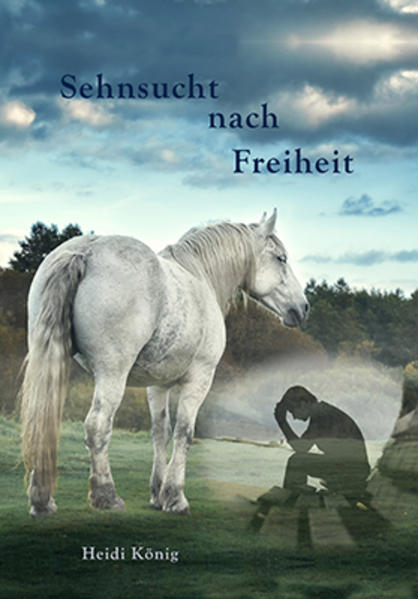 Der 20-jährige Falk hat nur noch wenige Monate seiner 4,5-jährigen Haftstrafe abzusitzen. Er weiß, dass er lediglich für einen Teil seiner Untaten verurteilt wurde, hoch ist die Dunkelziffer. Das Gefängnis hat ihn verändert. Aus dem brutalen Teenager ist ein phlegmatischer junger Mann ohne jegliches Lebensziel geworden. Was für eine „Freiheit“ würde außerhalb der Gefängnismauern auf ihn warten? Wie sollte er jemals innerlich frei sein mit dem Wissen, was er all die Jahre an anderen Menschen verbrochen hat? Der Gefängnistherapeut schafft es, den psychisch labilen Falk auf einem einsamen Bauernhof unterzubringen, wo der junge Mann mit abwechslungsreicher Arbeit und dem Umgang mit Pferden und anderenTieren von seinen starken Selbstzweifeln abgelenkt werden soll. Jedoch dauert es nicht lange, bis die ersten Suizidgedanken auftauchen und mit ihnen folgt eine schwere Zeit für Falk und die Leute, denen er wichtig geworden ist. Wird es jemals innere „Freiheit“ für Falk geben?