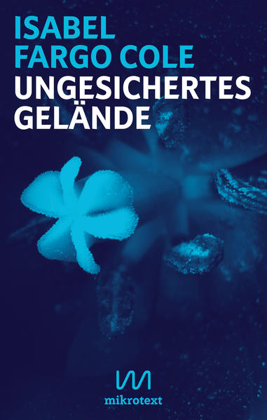 Handgeschriebene Liebesbriefe: Die Autorin und Übersetzerin Isabel Fargo Cole nimmt sich des traditionellen Genres der Briefnovelle an und verlegt es in einen Überwachungsstaat im 21. Jahrhundert. Und die Gefühle sind kämpferisch. "Dunkel und winterlich und herzzerreißend." Katy Derbyshire „Es ist ein leiser, konzentrierter Ton - einer, der sich nicht im mindesten darum kümmert, was als Sprache gängig und erlaubt ist. Es ist eine verletzbare, und in der Folge eine mutige und starke Stimme.“ André Spiegel