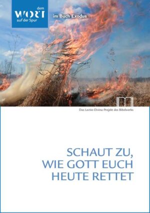 Schaut zu, wie Gott euch heute rettet Das Buch Exodus lesen Bibeltexte aus dem Buch Exodus erzählen von zeitlosen Gottes- und Lebenserfahrungen. Das Buch gehört zum Kern der biblischen Offenbarung. Gott tut seinen Namen und sein Wesen kund. Das Volk Israel erlebt seinen Gott als Befreier, schließt einen Bund und empfängt seine Weisung. Viele Motive wurden durch die neutestamentlichen Autoren aufgegriffen, um das befreiende Handeln Gottes in Jesus Christus zu beschreiben. Die zwölf Textblätter dieses Leseprojekts eignen sich, um sich in unterschiedlicher Form und Intensität mit dem Buch Exodus zu beschäftigen: allein oder in Gruppen, 12 Texte in 12 Monaten, 12 Texte parallel zum Kirchenjahr beginnend mit dem Advent, 7 Texte in 7 Wochen der Fastenzeit, einzelne in der Leseordnung bedeutsame Texte oder andere Rhythmen.