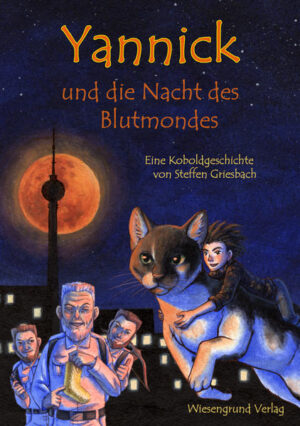 Yannick ist ein Kobold. Wie fast jeder seiner Art lebt er heimlich in der Wohnung seiner Hausmenschen und sorgt dort vorschriftsgemäß für Verwirrung und Unordnung. Zusammen mit seinen drei Teamkollegen, den in Gegenständen lebenden Irrlichtern Lucy (eine Handtasche), Uli (ein Laptop) und Robert (eine Waschmaschine) gelingt dies recht gut. Doch dann werden die Kobolde Berlins durch eine mysteriöse Einbruchsserie aufgescheucht und die „Aufräumer“ – die letzten sechs Heinzelmännchen Berlins – suchen auch Yannicks Wohnung heim: Der Kampf zwischen Chaos und Ordnung, letztendlich um die Anerkennung der Menschen, vor denen sich Sagengestalten seit den Zeiten Rumpelstilzchens verstecken, flammt neu auf!