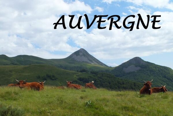 Der Bildband Auvergne ist ein ideales Geschenk für jeden, der diese französische Region liebt. In vielen Bildern wird die Auvergne vorgestellt, ergänzt um zahlreiche Informationen zu Geschichte und Gegenwart.