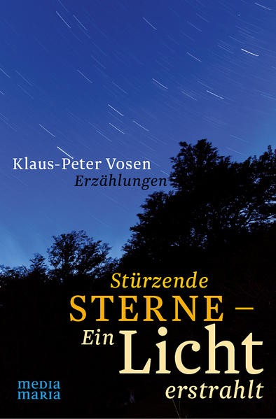 Klaus-Peter Vosen legt drei spannende Erzählungen vor historischem Hintergrund vor. Sie spielen in der Zeit nach dem Konzil von Trient, in der Französischen Revolution und im Österreich des 19. und beginnenden 20. Jahrhunderts. Menschen werden geschildert, die um den rechten Weg, die rechte Entscheidung ringen. Wie antworten sie auf Gottes führende und heilende Gnade-finden sie zum Licht? Vielleicht findet der Leser in dem französischen Marquis, dem Bischof aus der Zeit der Katholischen Reform, dem asketischen Franziskaner und der jungen Frau mit Beziehungsproblemen Gesinnungs- und Weggefährten …